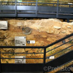 Stratigraphie Abri Pataud