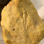 Figure féminine gravée Abri Pataud