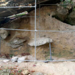 Stratigraphie en place Reverdit Castel Merle