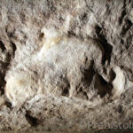 Bas relief Castel Merle