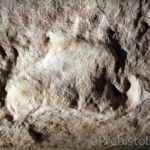 Bas relief Castel Merle