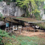 Abri Labattut Castel Merle