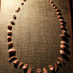 parure en coquillages Musée de Castel Merle