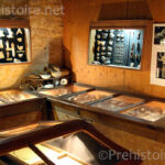 Collections Musée de Castel Merle