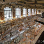 Vue aérienne salle basse Galerie d'anatomie