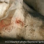 Bouquetins Grotte de Gargas