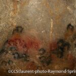 Mains enfants panneau 8 Grotte de Gargas