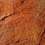 La conque Grotte de Gargas