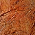 La conque Grotte de Gargas