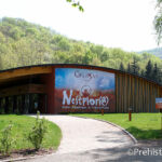 Nestploria entrée Grotte de Gargas
