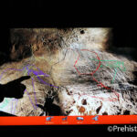 Nestploria panneau interactif Grotte de Gargas