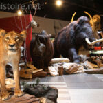 reproductions d'animaux préhistoriques Paléosite de Saint-Césaire