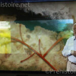 multimédia Paléosite de Saint-Césaire