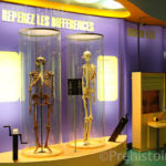 ateliers comparatifs Paléosite de Saint-Césaire