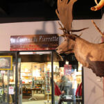 boutique Paléosite de Saint-Césaire