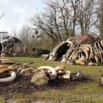 habitat de Néanderal reconstitué Paléosite de Saint-Césaire