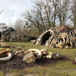 habitat de Néanderal reconstitué Paléosite de Saint-Césaire