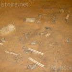 Moulage du site Musée de Terra Amata