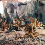 Maquette campement Musée de Terra Amata