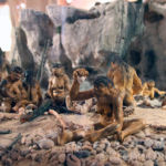 Maquette campement Musée de Terra Amata