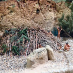 Reconstitution de hutte Musée de Terra Amata