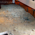 Moulage du site Musée de Terra Amata