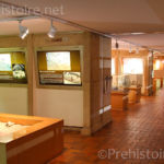 Galeries du musée Musée de Terra Amata