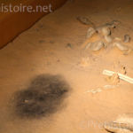 Trace de foyer Musée de Terra Amata