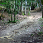 Chemin boisé vers la grotte Grotte de Bernifal