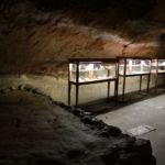 Vitrines Grotte du Mas d'Azil