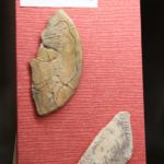 Anthropomorphe Grotte du Mas d'Azil