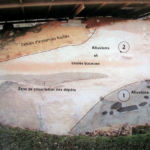 Schéma des dépôts La Micoque