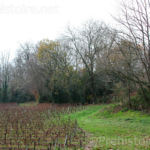 Vue extérieure du terrain Pair non Pair