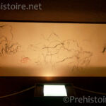 Relevé de tracés Pech Merle