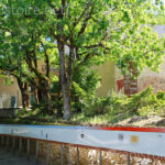 frise du temps Pech Merle