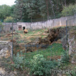 Parc des ours Regourdou