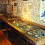 Vitrines Regourdou